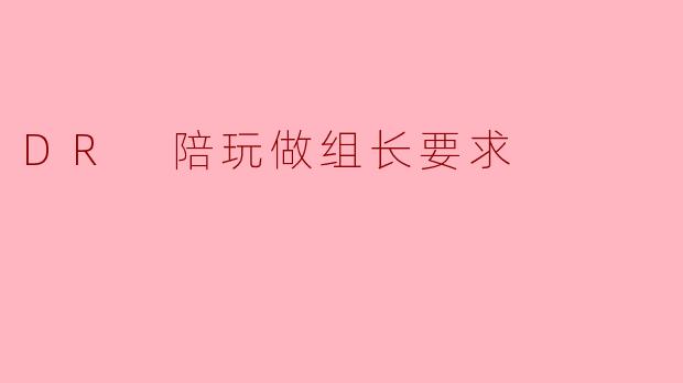 DR 陪玩做组长要求